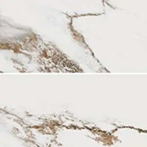 Indulge Breccia Capraia Matte 4"x21" Chevron