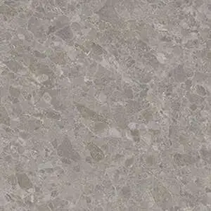 Pompano Fossil Natural