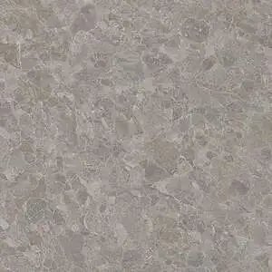 Pompano Fossil Outdoor Paver
