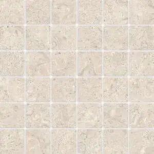 Reef Calcite 2"x2" Mosaic