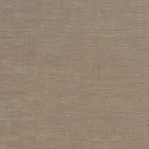 Sensation Evening Sunset