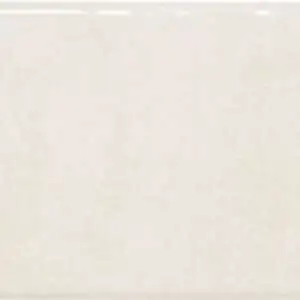 Symmetry Coconut Milk Shiny