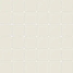 Tonalita Porcelain White 2"x2" Mosaic