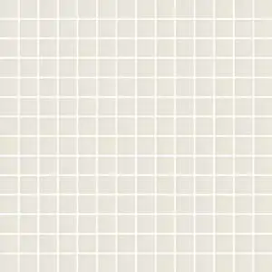Tonalita Porcelain White 1"x1" Mosaic