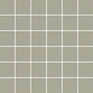 Tonalita Grey Green 2"x2" Mosaic