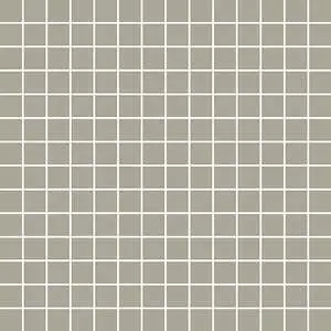 Tonalita Grey Green 1"x1" Mosaic