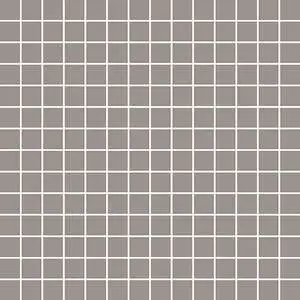 Tonalita Grey 1"x1" Mosaic