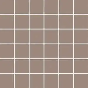 Tonalita Coral Brown 2"x2" Mosaic