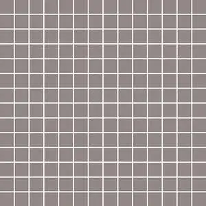 Tonalita Astro Grey 1"x1" Mosaic