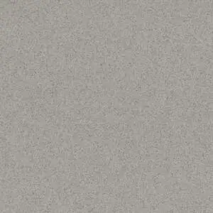 Tonalita Light Grey Matte