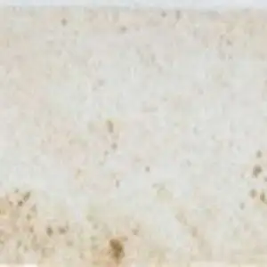 Zanzibar Ivory Polished