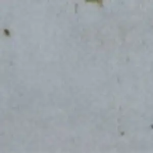 Zanzibar Light Grey Polished