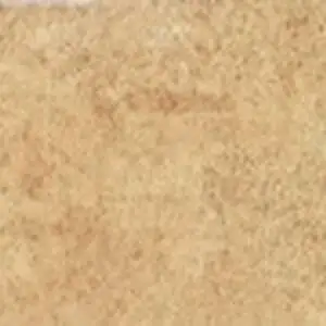 Zanzibar Beige Polished