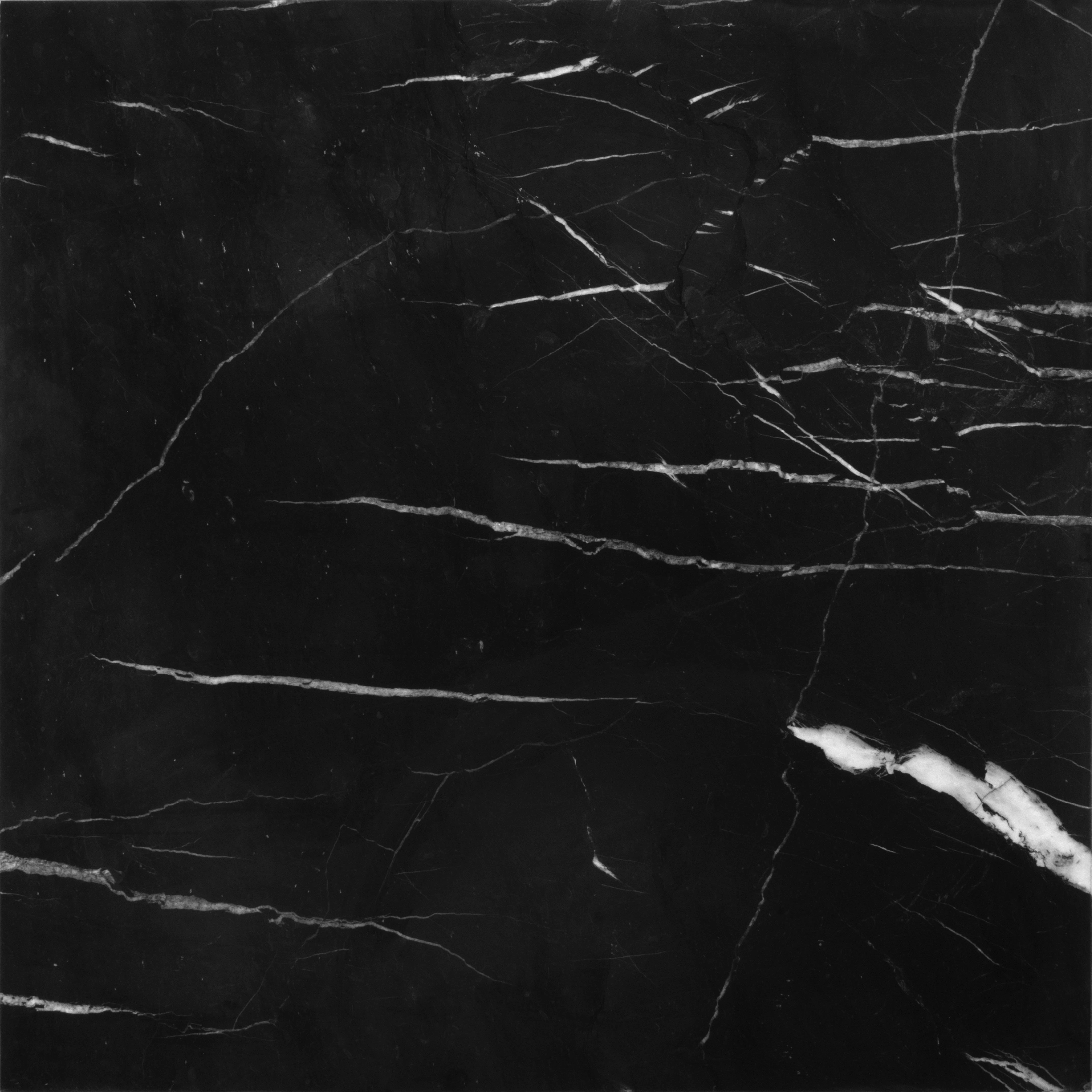 Black Caviar Marble Stone Tile