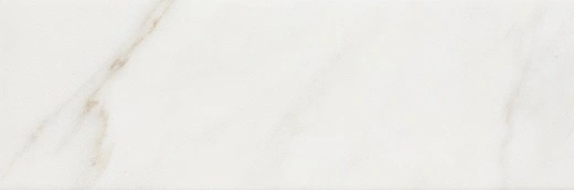 Brasilia Fossile Wall