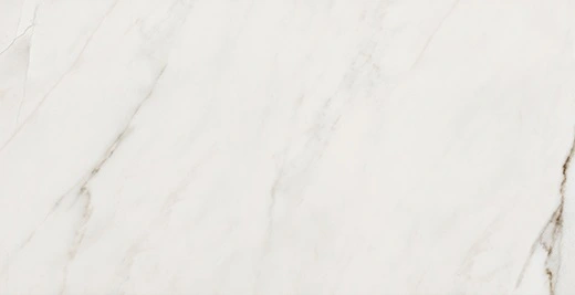 Brasilia Fossile Polished