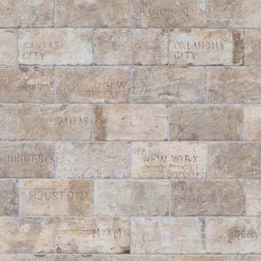 Chicago Brick South Side 4"x8" City Mix