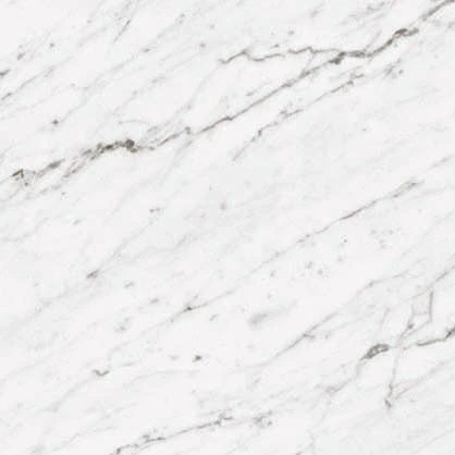 Dynasty Carrara White Polished