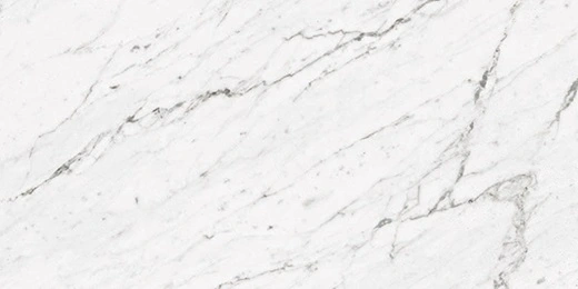Dynasty Carrara White Matte