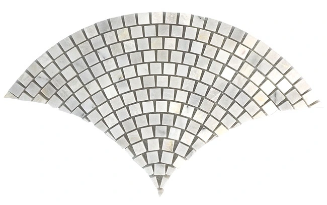 Eastern White Seashell Mosaic