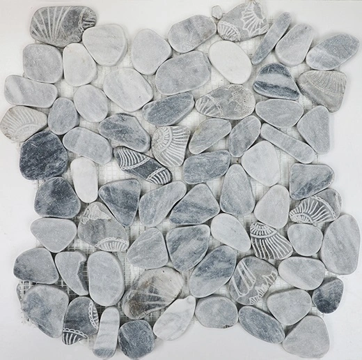 Fossil Imprints Bardiglio