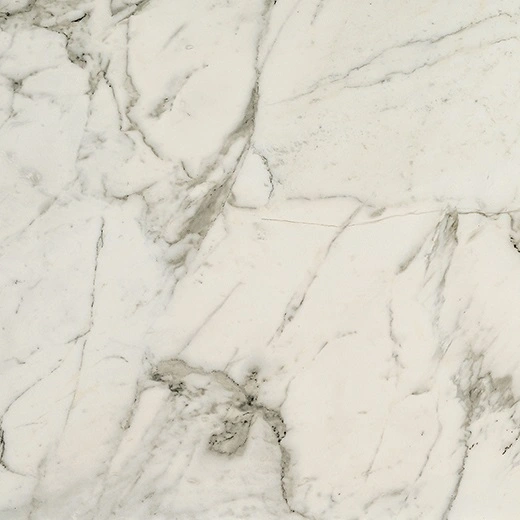 Odyssey Arabescato Matte