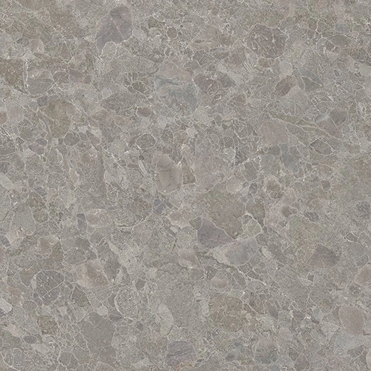Pompano Fossil Outdoor Paver