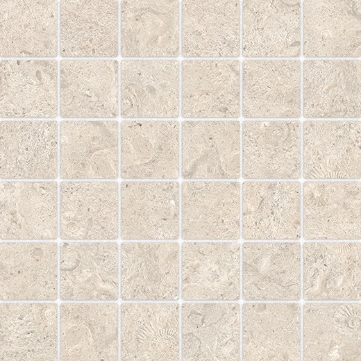 Reef Calcite 2"x2" Mosaic