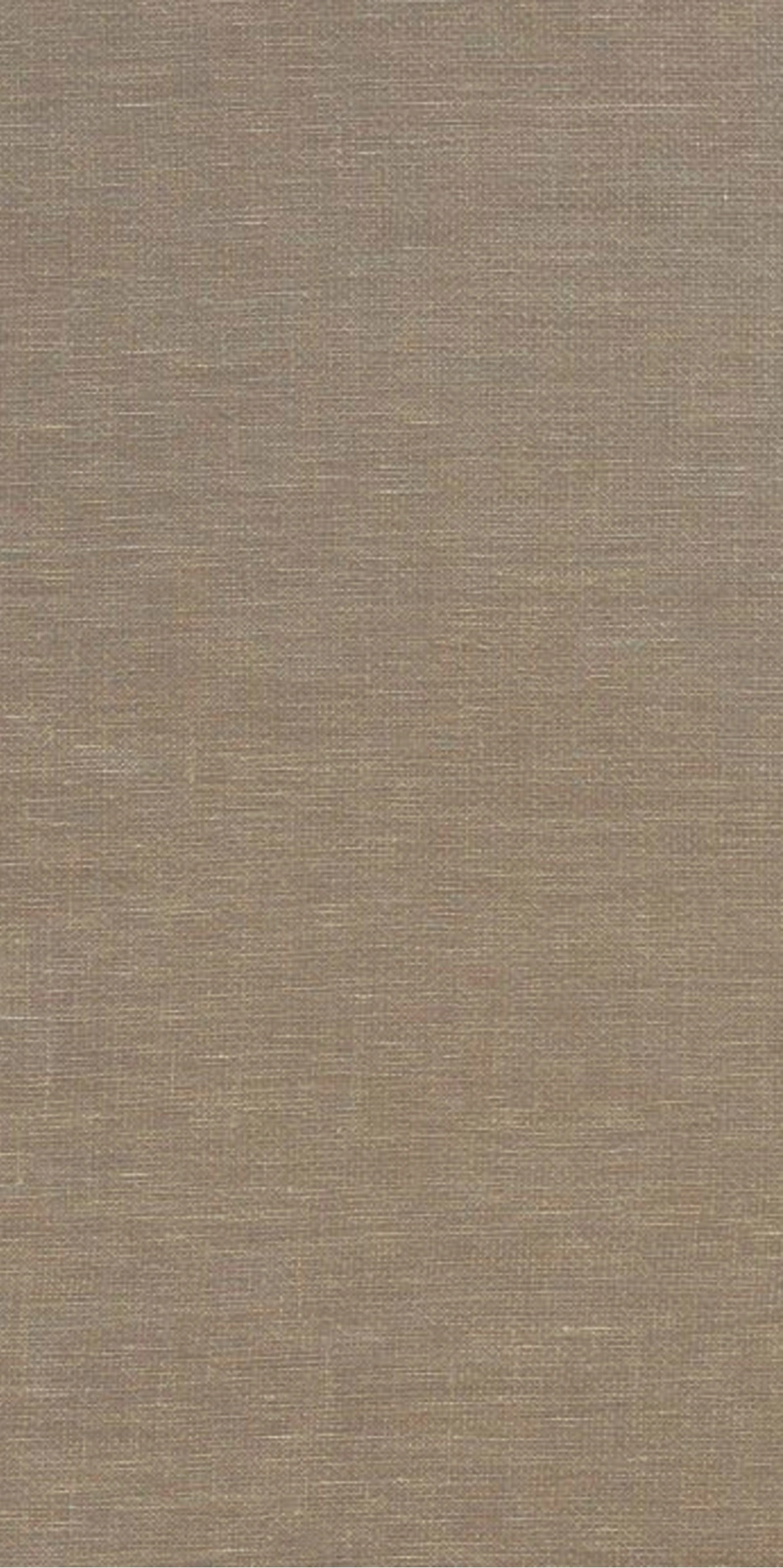 Sensation Evening Sunset