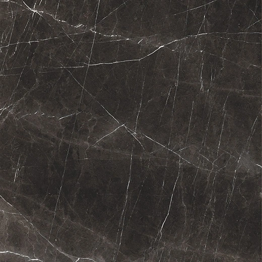 Splendor Nero Marquina