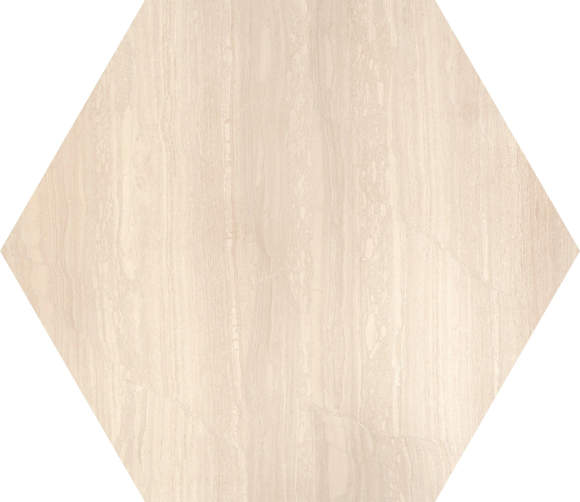 TINO MACROESAGONA AVORIO