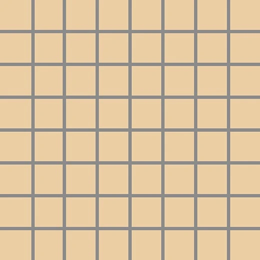 Tonalita Kalahari Beige 1"x1" Scored Tile