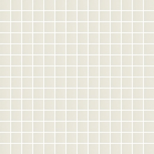 Tonalita Porcelain White 1"x1" Mosaic