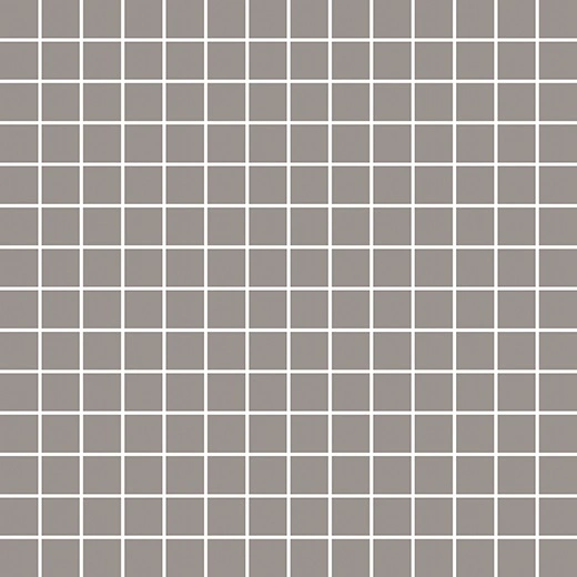 Tonalita Grey 1"x1" Mosaic