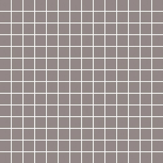 Tonalita Astro Grey 1"x1" Mosaic