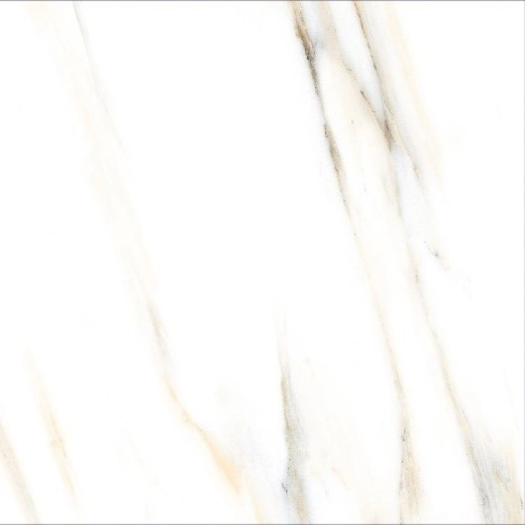 AGL Calacatta Gold Matte AGL Calacatta Gold Matte