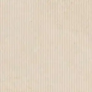 Biotech Crema Stone Cannette