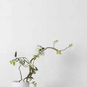 Malaysia EX White Polished