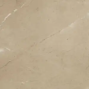 Prestigio Arcadia Lucido