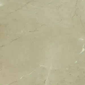 Prestigio Arcadia Soft