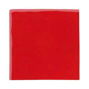 Studio Field High Fire Ceramic Tile Cherry Tomato