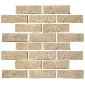 Standard 2x8 Thin Brick Veneer Bone