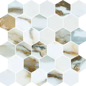 Tropical Breeze Mosaico Esagono su rete