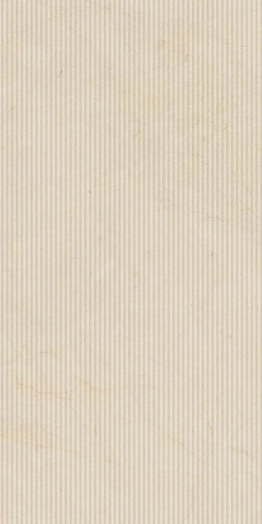 Biotech Crema Stone Cannette