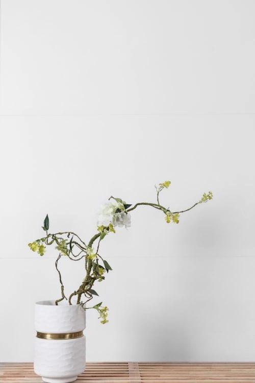 Malaysia EX White Polished