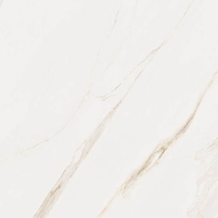 Omnia Calacatta Levigato