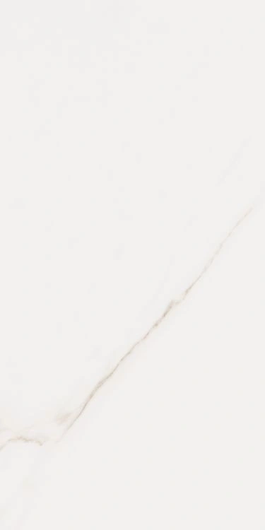 Omnia Calacatta Matte