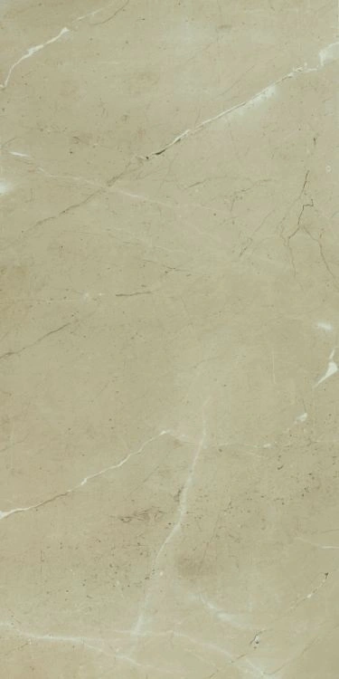 Prestigio Arcadia Soft