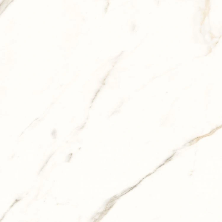 Trilogy Calacatta White Soft