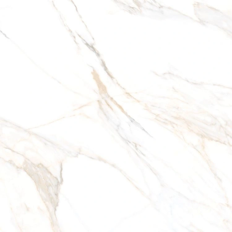 Aurum Calacatta Polished